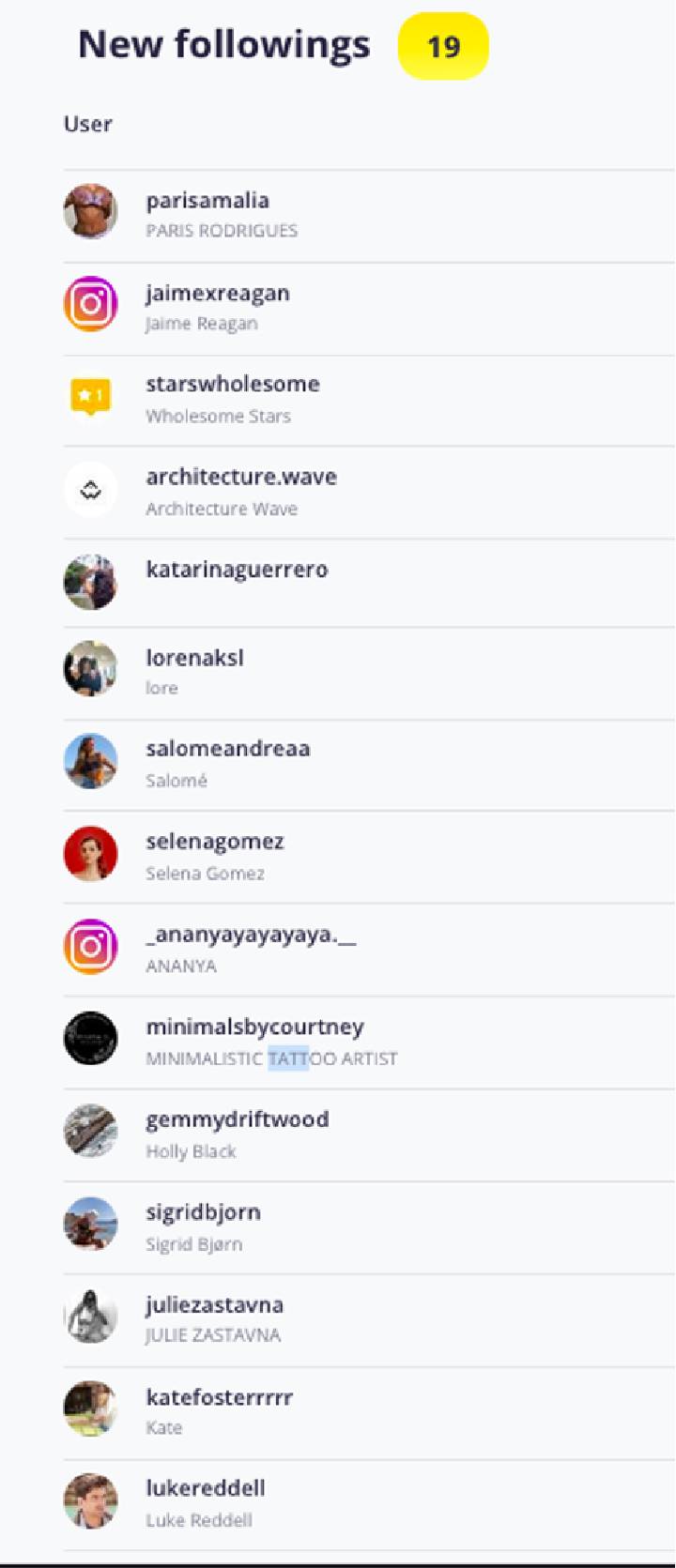 pic 2. New follows made by user as illustrated by Snoopreport.